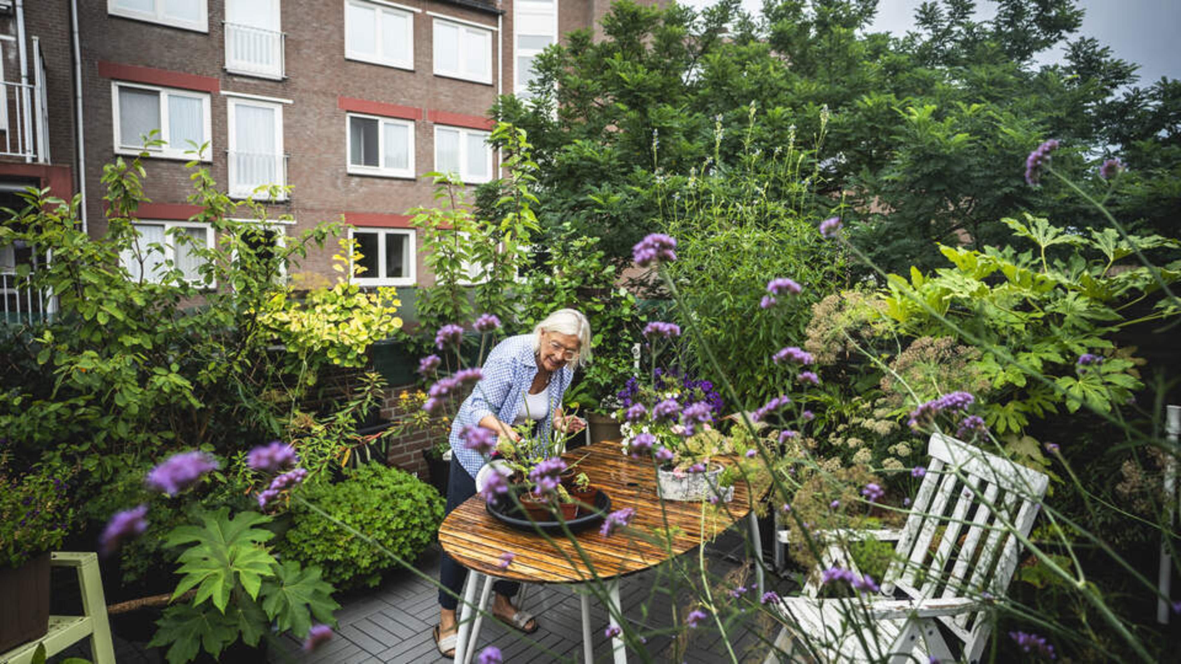 Nella (75) toverde haar dakterras om in een moestuin: ’Ik hoop dat ik anderen kan inspireren’